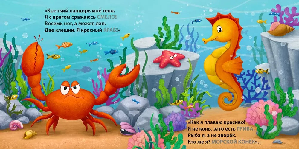Board Book for Kids 1+: Who Lives in the Water Riddle Rhymes (RU), Robins