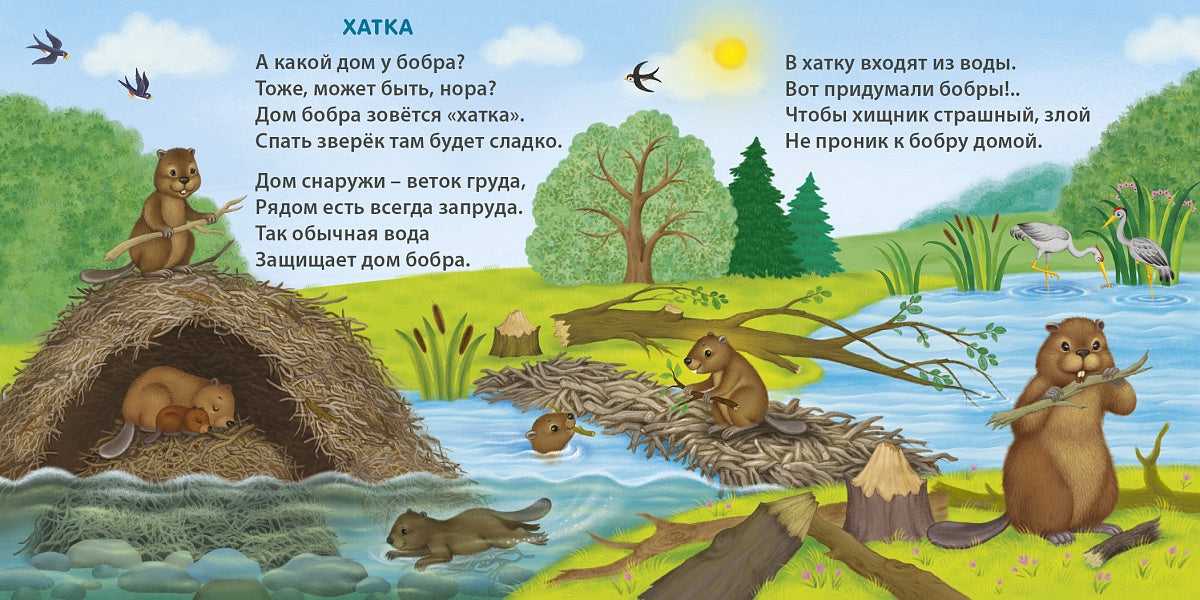 Board Book for Kids 1+: Amazing Animal Homes (RU), Robins