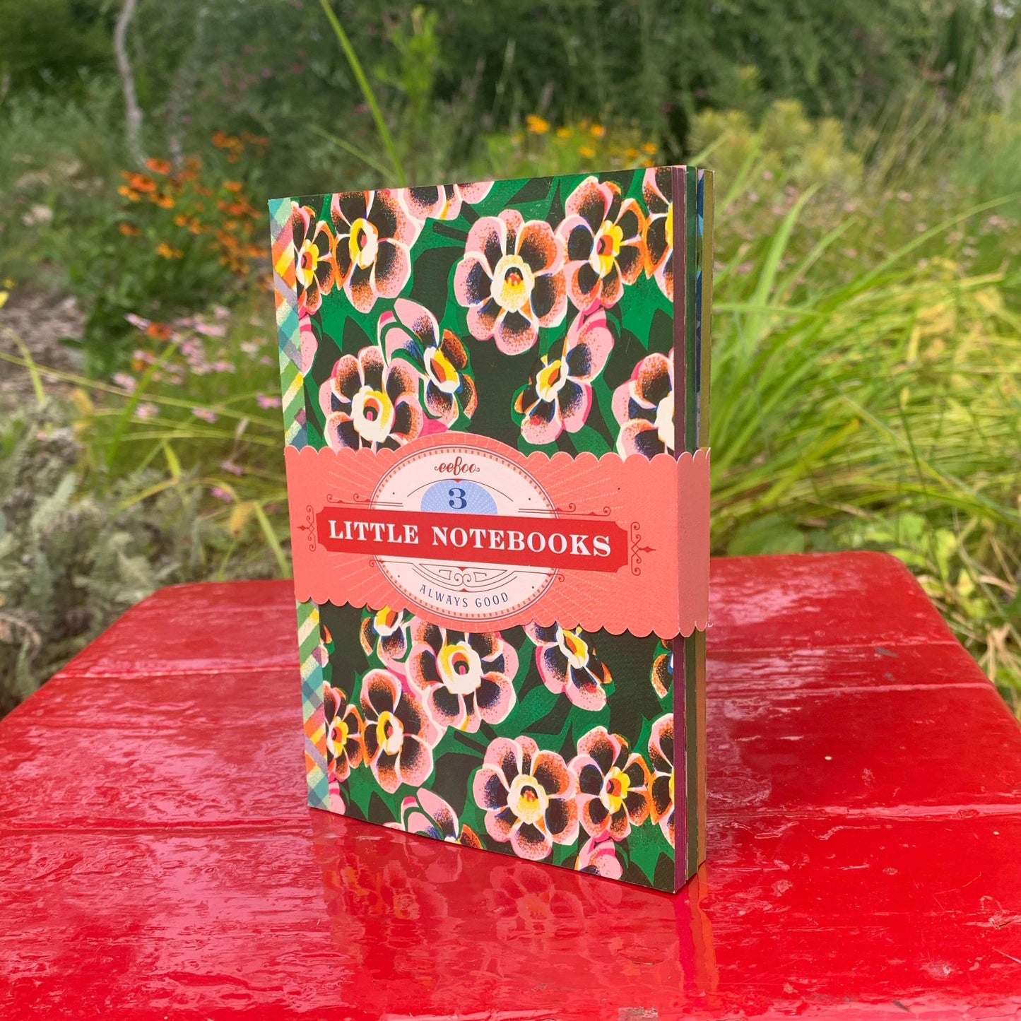 ASTA'S LITTLE BOOK SET, eeBoo