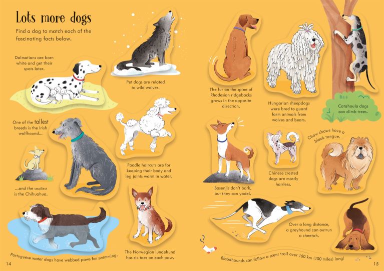 Little First Stickers Dogs And Puppies, Usborne