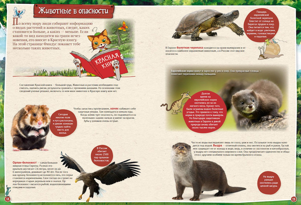 Петсон и Финдус изучают животных Нурдквист Свен