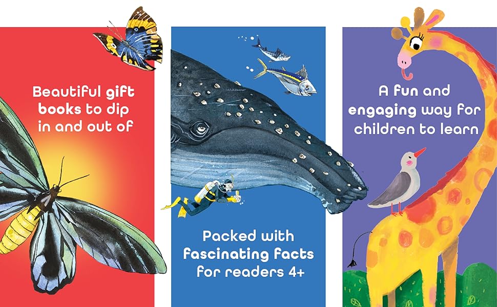 Alphabet Book: Big Book of ABC, Usborne