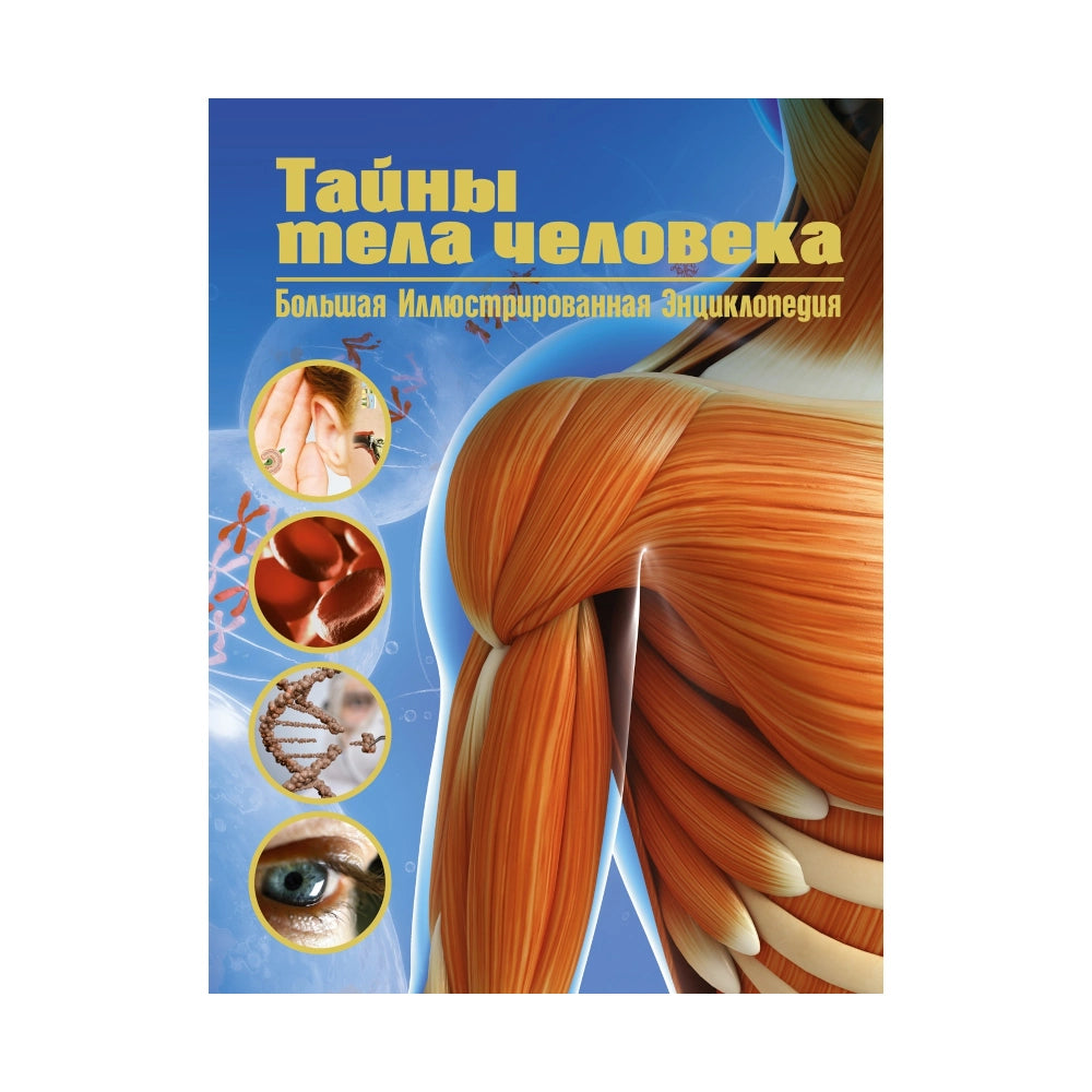 Энциклопедия для подростков на русском языке 16+: «Тайны тела человека» (твёрдая обложка)