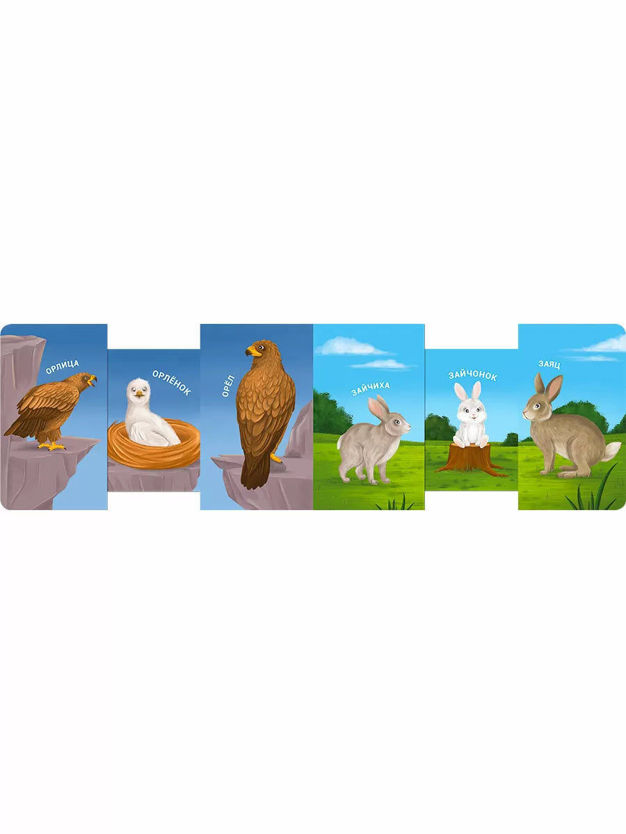 Книжки-задвижки. Мама, папа и малыш. Дикие животные