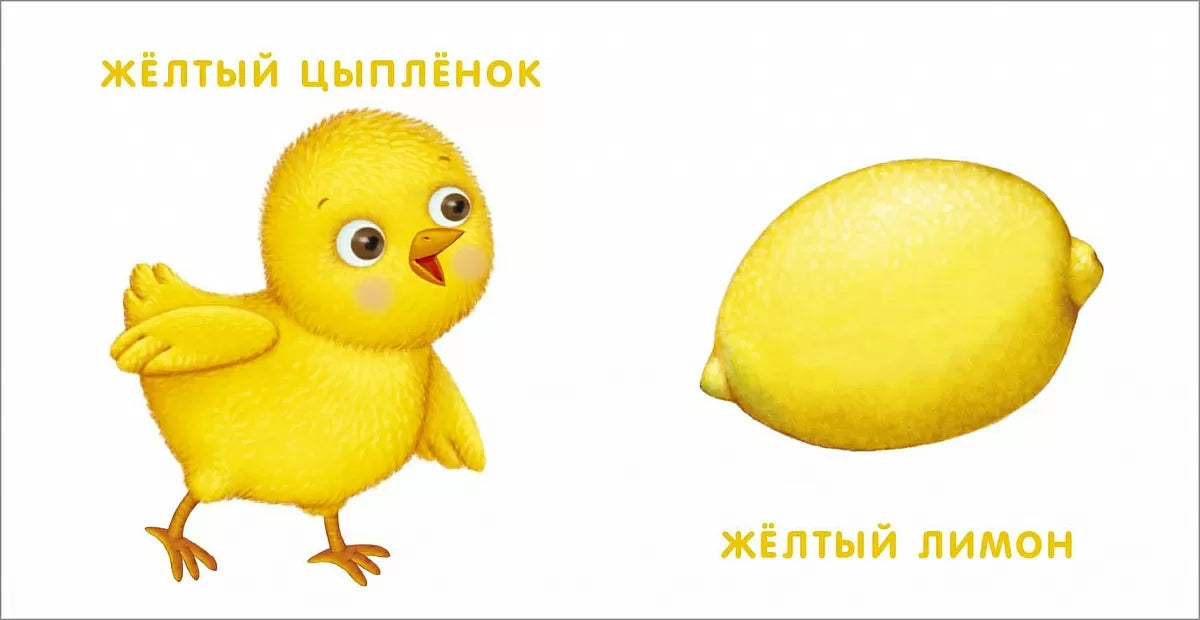 Книжки - картонки. Мои первые цвета. Робинс