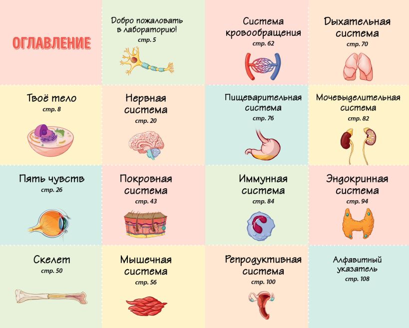 Чой Б. "Тело человека. Домашняя лаборатория для детей". Эксмо