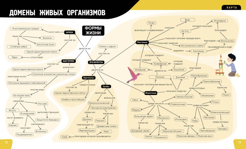 Романо А.. "Тело человека. Самая анатомическая энциклопедия". Эксмо