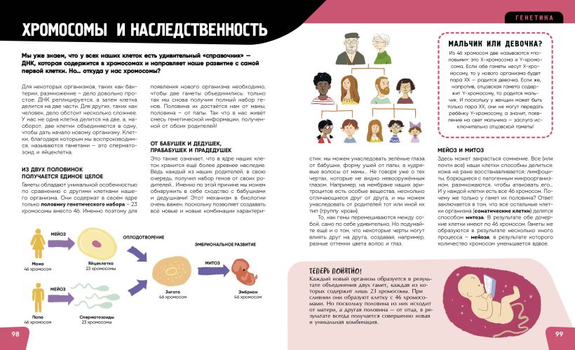 Романо А.. "Тело человека. Самая анатомическая энциклопедия". Эксмо