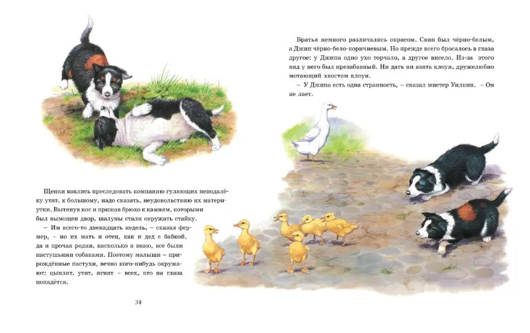 Джеймс Хэрриот: Детям. Рассказы о животных, Махаон