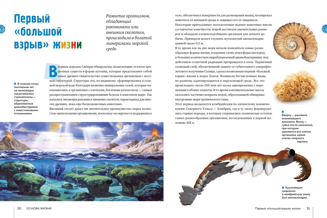 Мило Ф. Тайны морей и океанов. Большая иллюстрированная энциклопедия