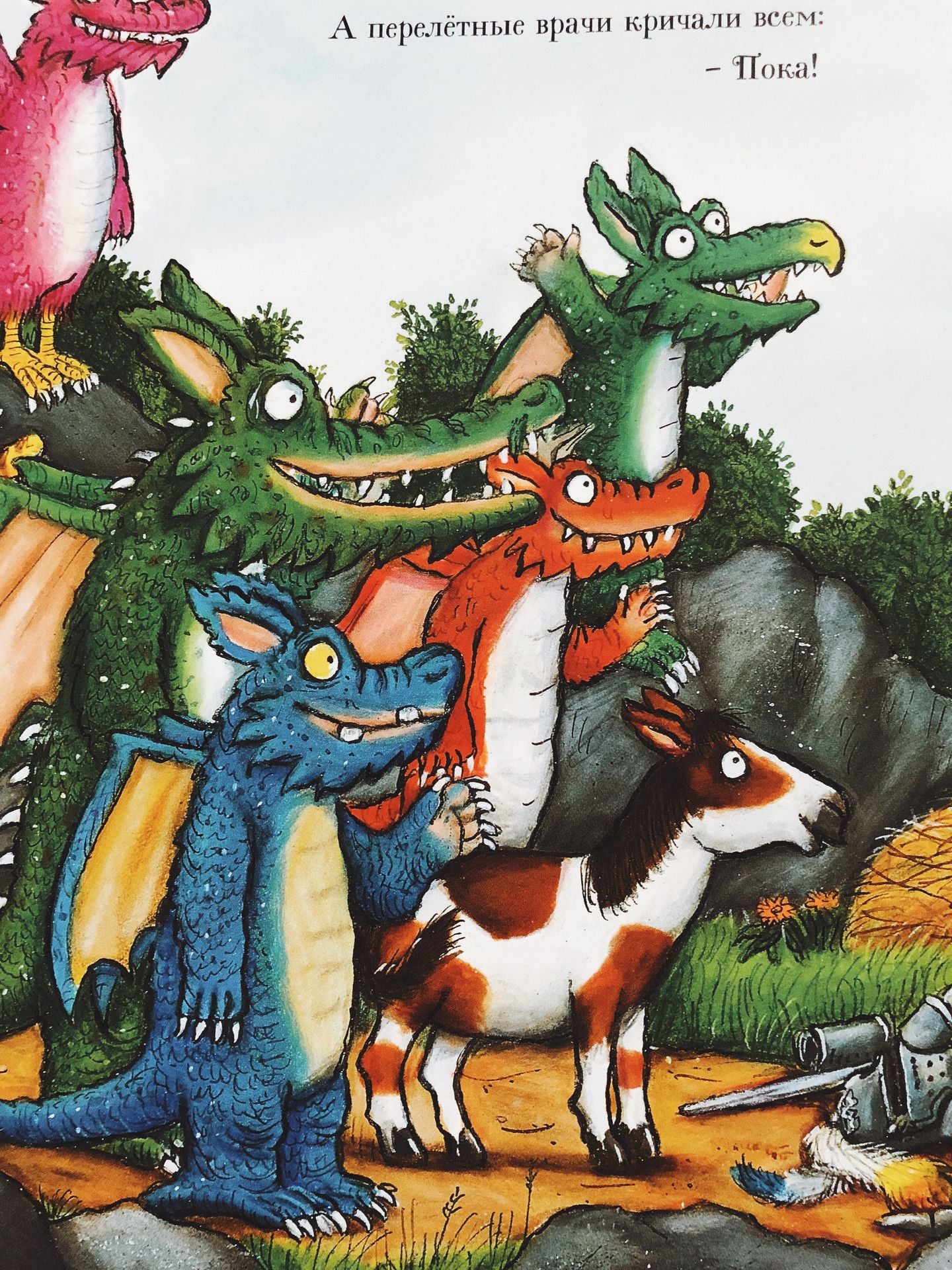 Зог. Дональдсон