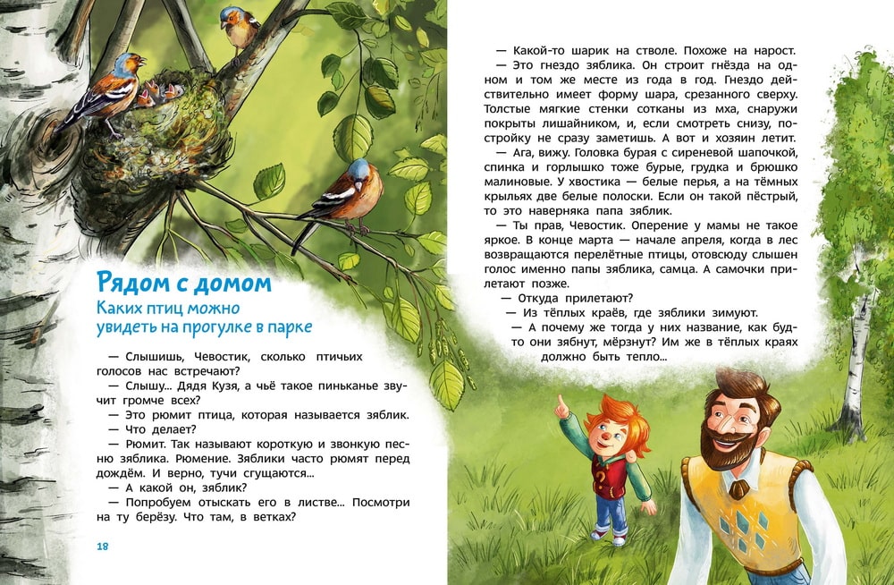 Птицы. Детская энциклопедия. Чевостик, Детская энциклопедия. Качур Е.А., Харпалёва Н.Е.
