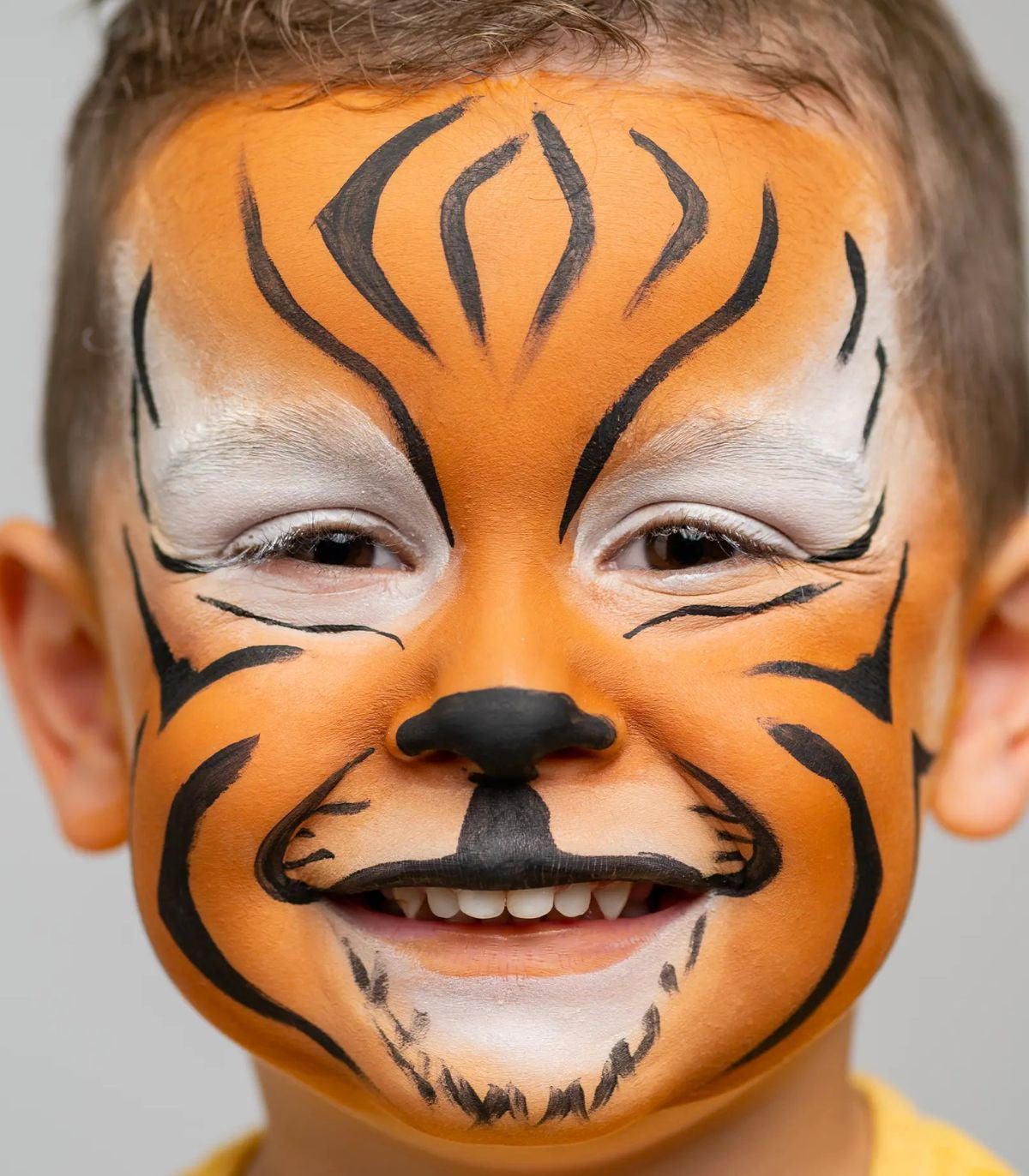 Namaki Wild Life Face Paint Kit 6 colors