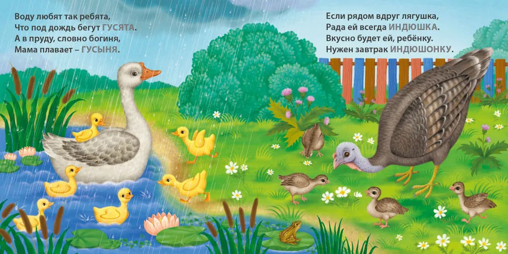 Книжки-картонки: Загадки-рифмы. Мамы и малыши. Домашние животные, Робинс