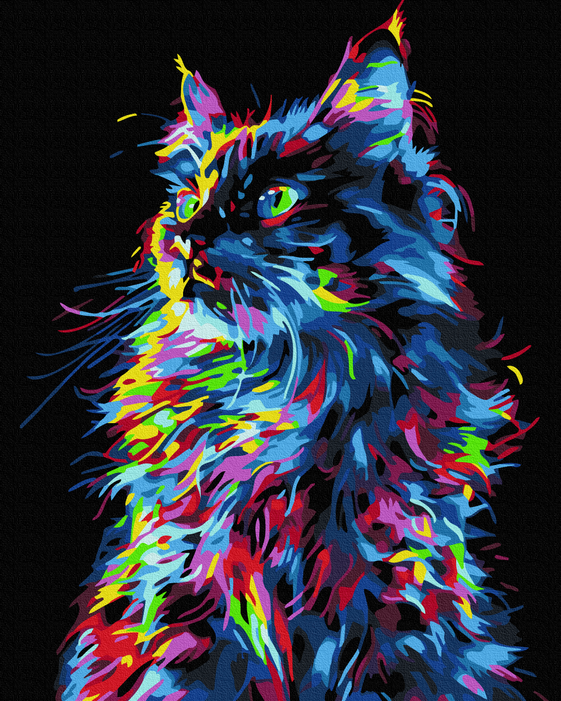 Magic Cat Paint by Numbers, Brushme