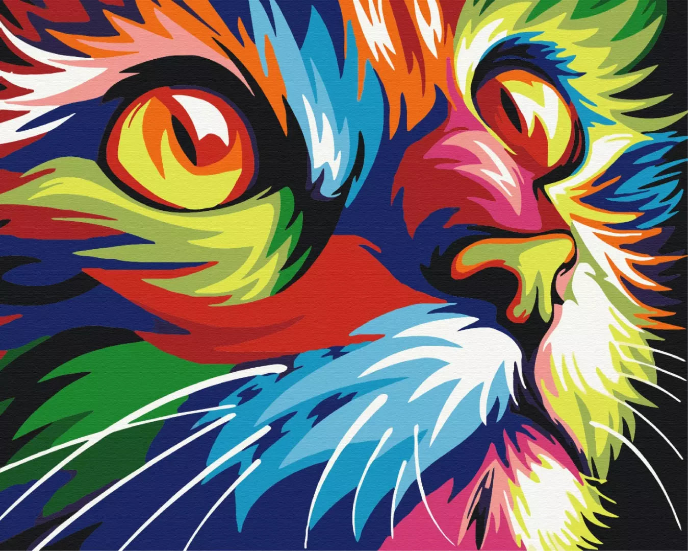 Rainbow cat Paint by Numbers, Brushme