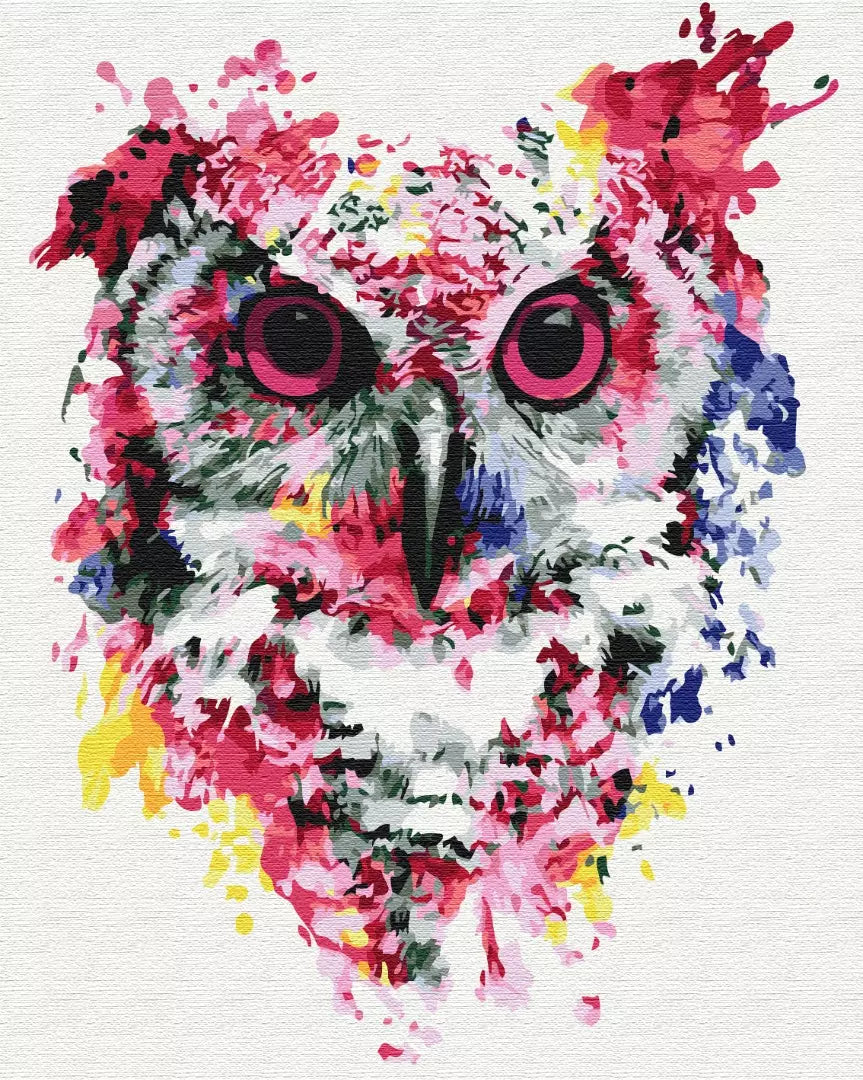 Owl in paints Paint by Numbers, Brushme