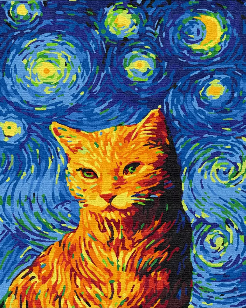 Cat on a starry night Paint by Numbers, Brushme