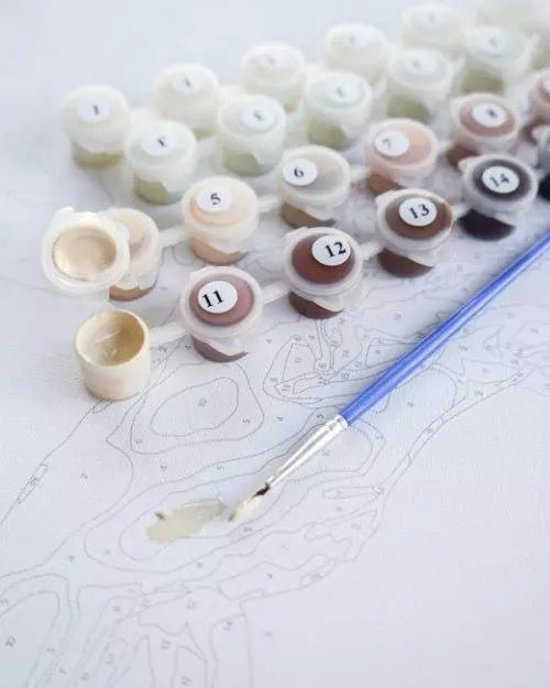 Keen eye Paint by Numbers, Brushme