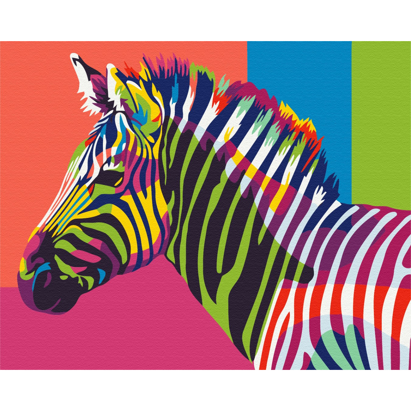 Rainbow zebra Paint by Numbers, Brushme