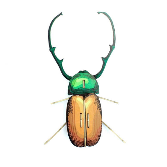 Insecto - Calingratus