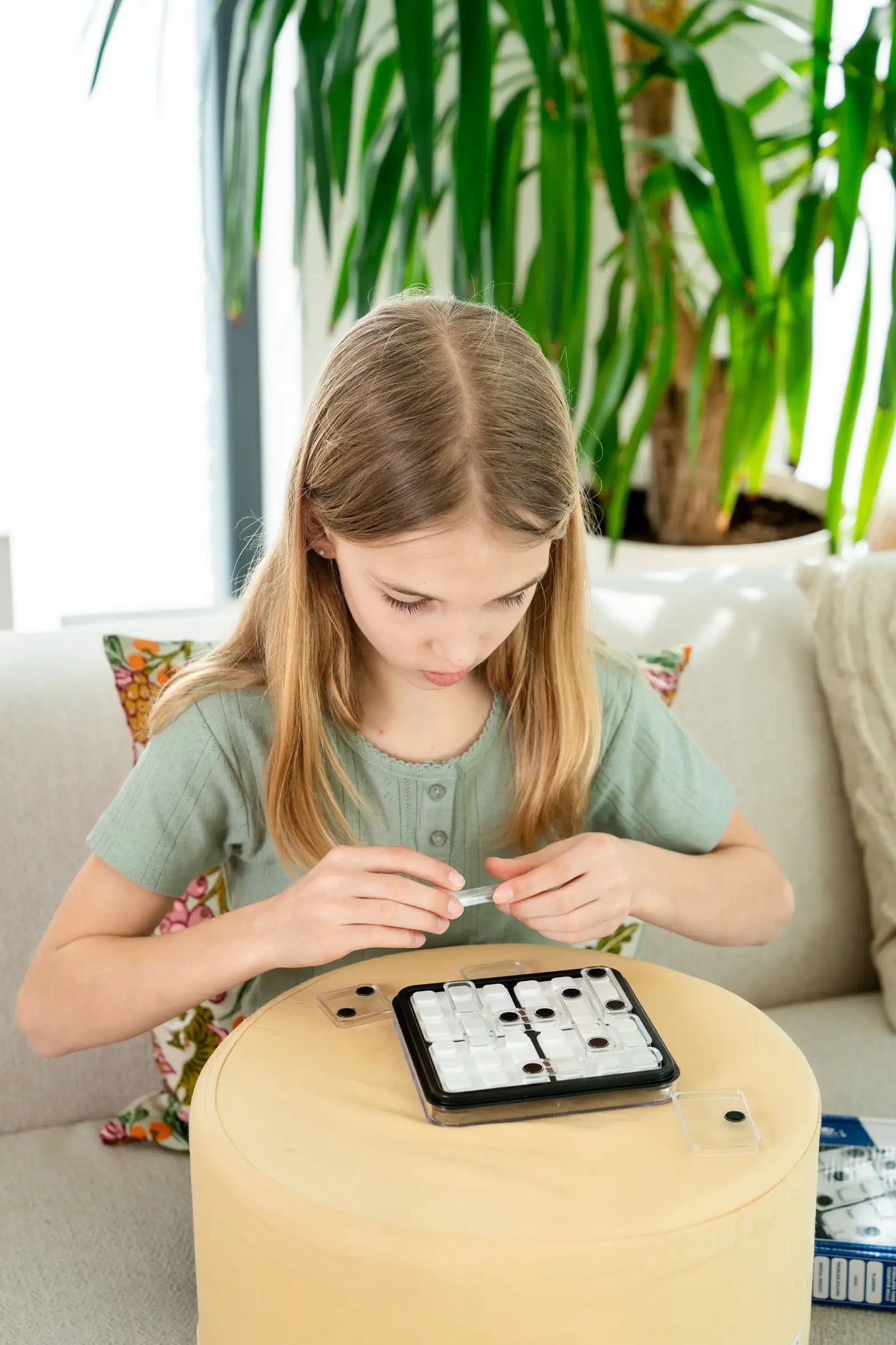 Logic game: Dice Deduction, Smartgames