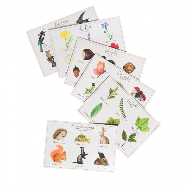 Nature lotto game Le jardin du moulin, Moulin Roty