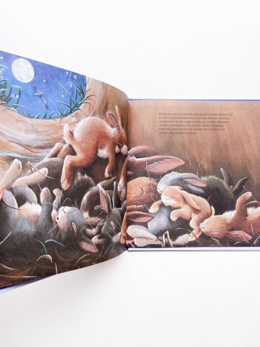 Книжки-картинки. Зайчонок хочет домой: Элизабет Бэгели