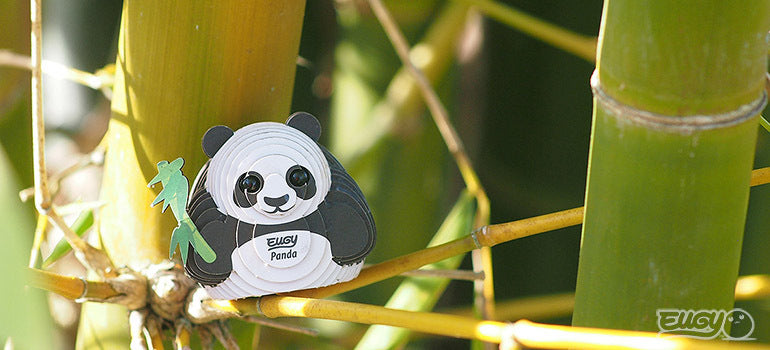 Panda Eugy