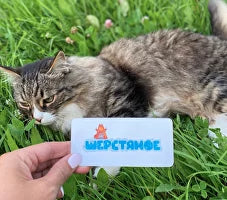 Мягкий знак 4+