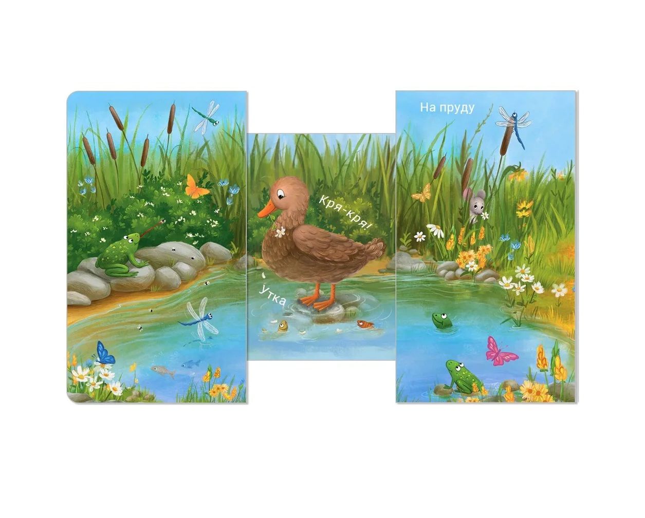 Книжки - задвижки. Кто где живёт?. Робинс