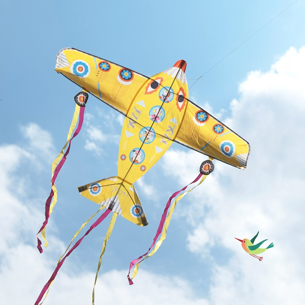 Djeco Games of skill - Kite Maxi Plane