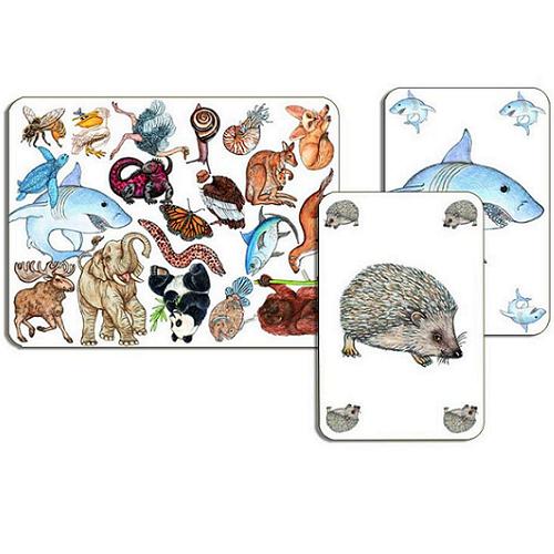 Djeco card game Zanimatch