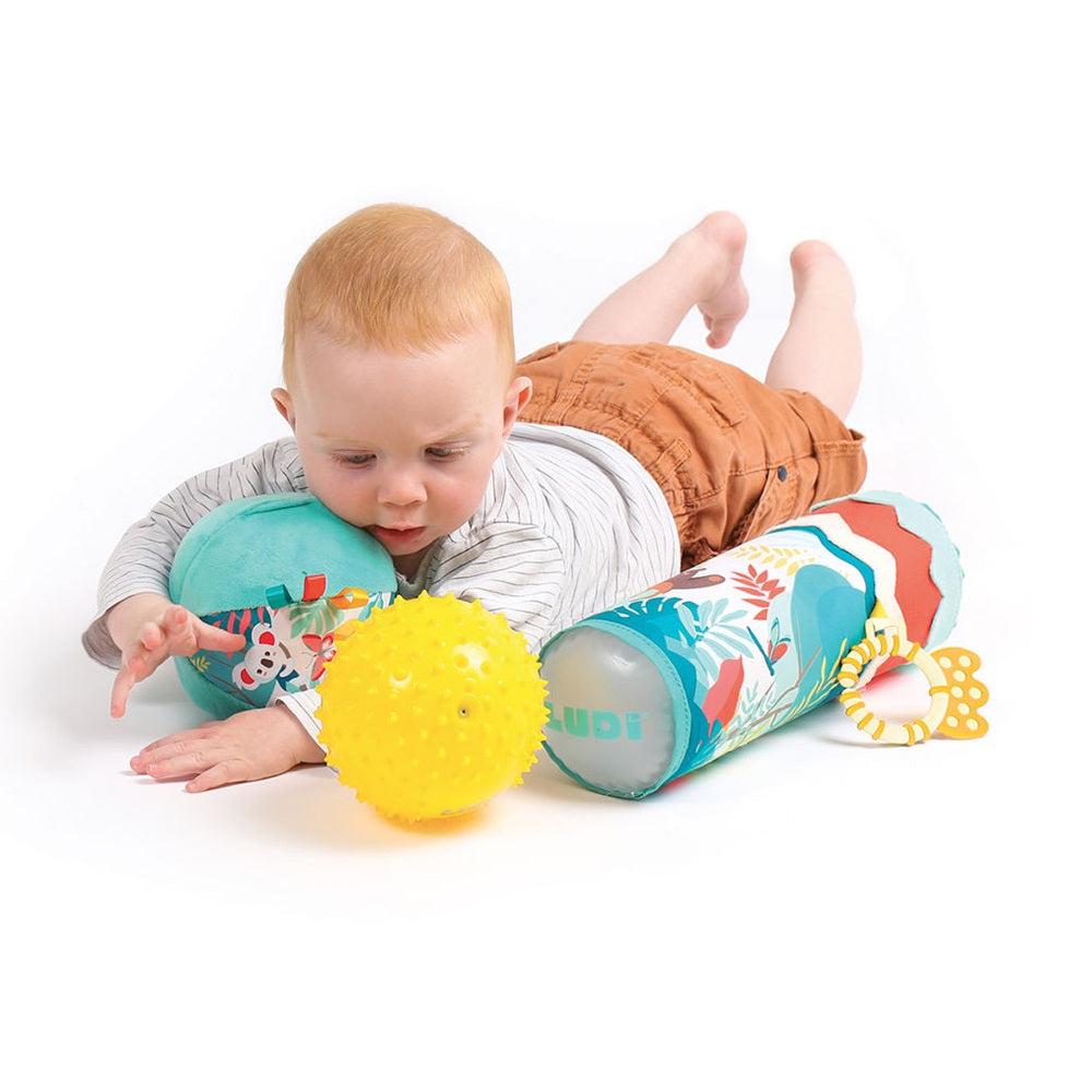 Ludi Jungle sensory box (Tube And Balls)
