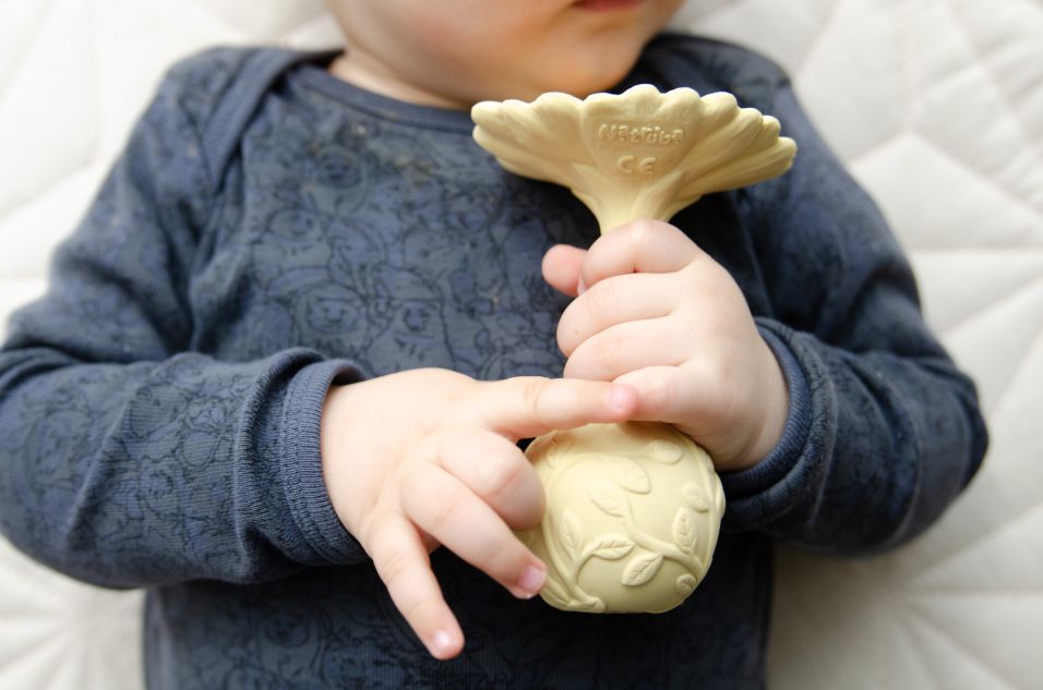 Rattle Daisy - Yellow Natruba