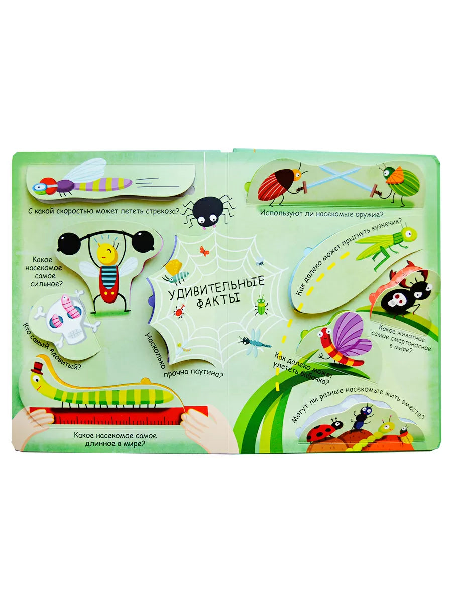 Волшебные окошки. Микромир.