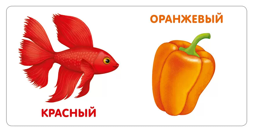 Книжки-картонки. Цвета в природе