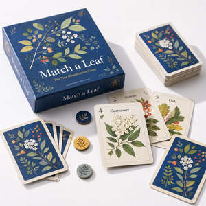 Board Games for Teens and Adults