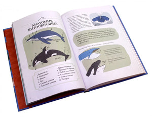 Books in Russian