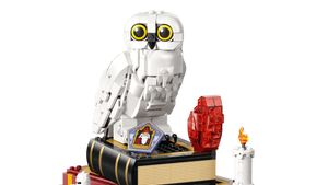 Harry Potter Universe