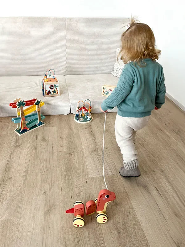 Motor Activity Cube: Dino, Small Foot