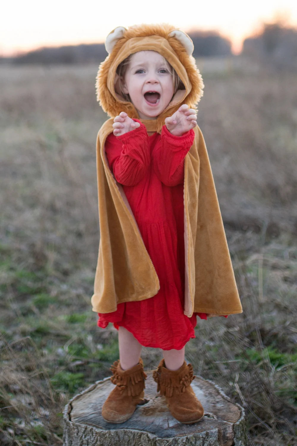 Toddler Lion Costume Cape, For Kids 2-3