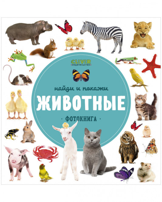 Найди и покажи. Фотокниги. Животные. Клевер