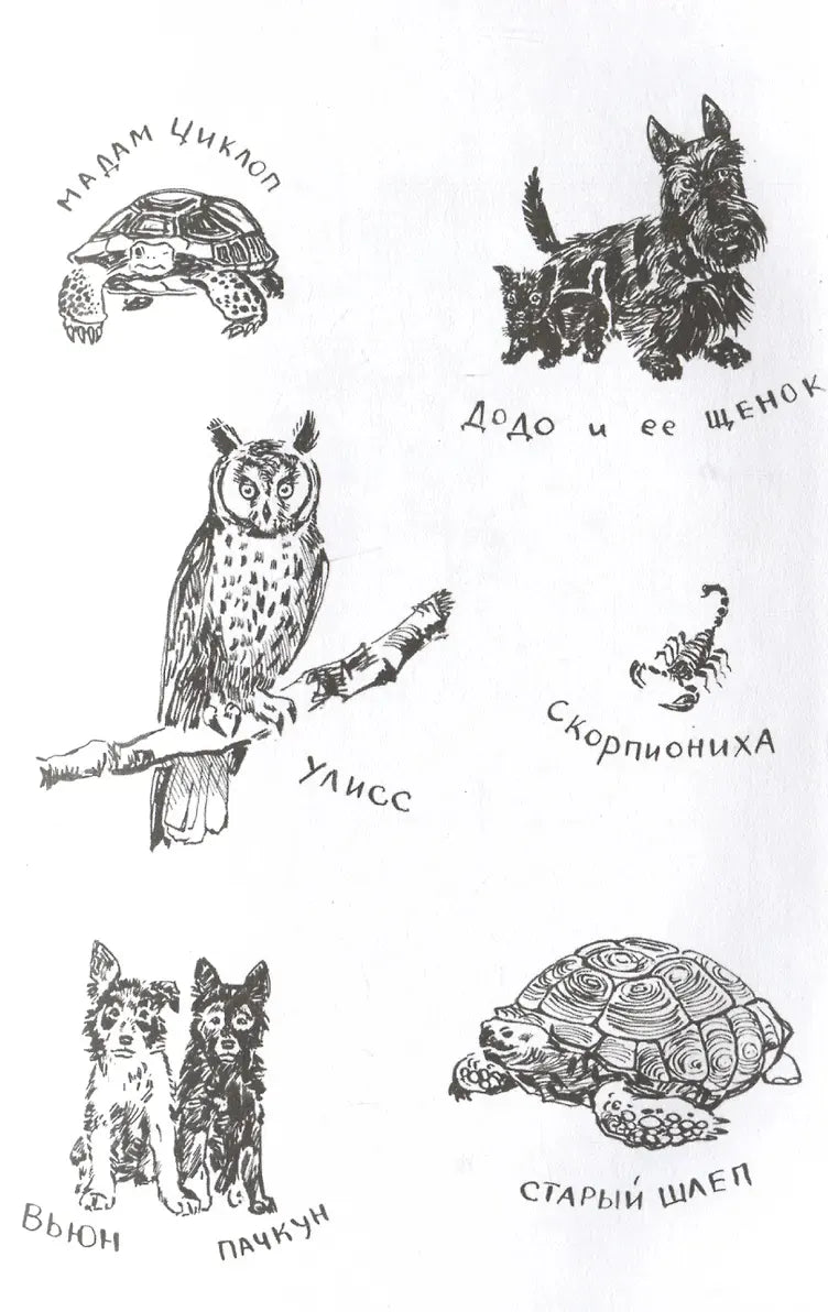 Моя семья и другие звери. Джеральд Даррелл