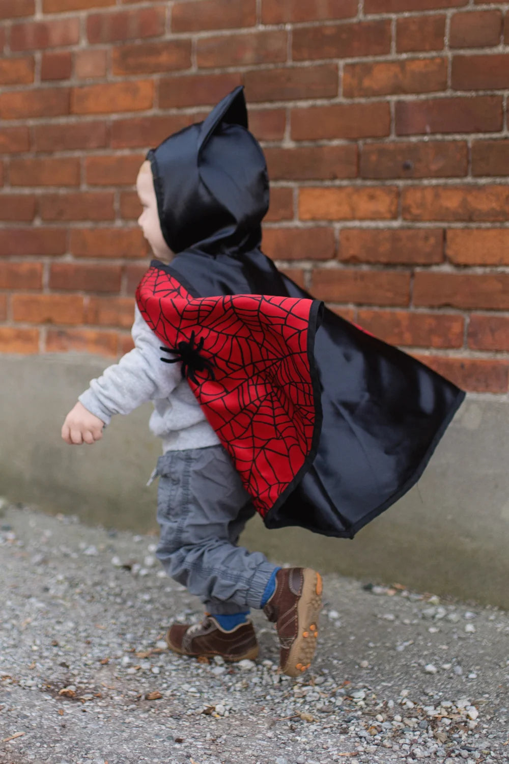 Reversible Spider And Bat Cape, Halloween Costume For Kids