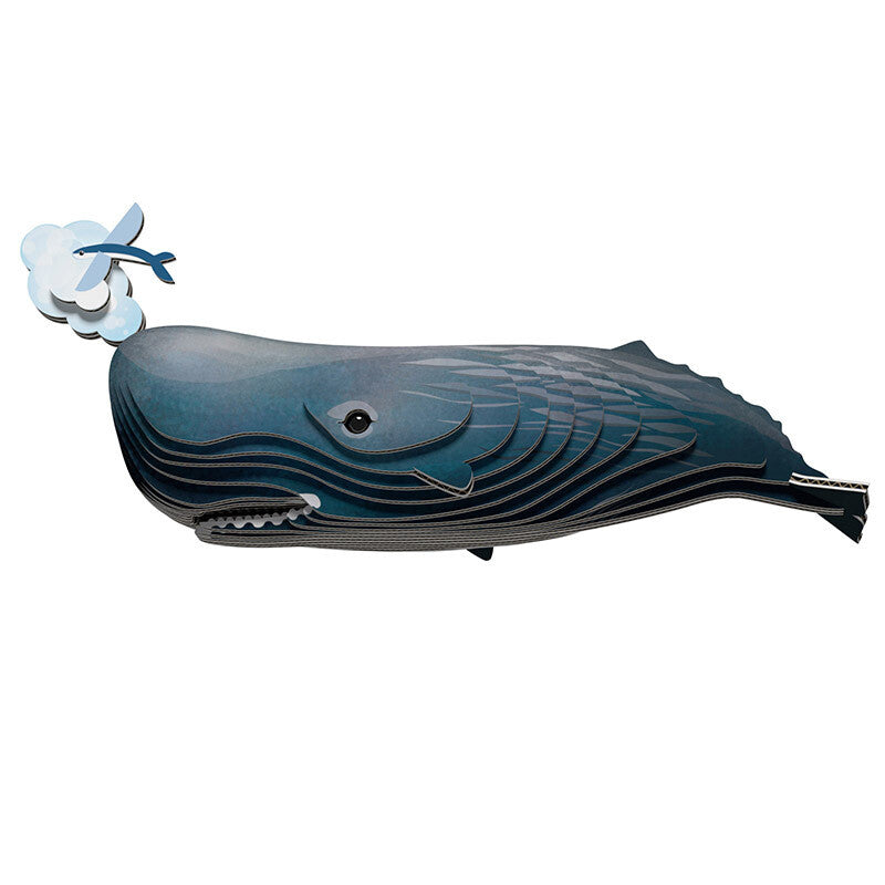 Sperm Whale Eugy