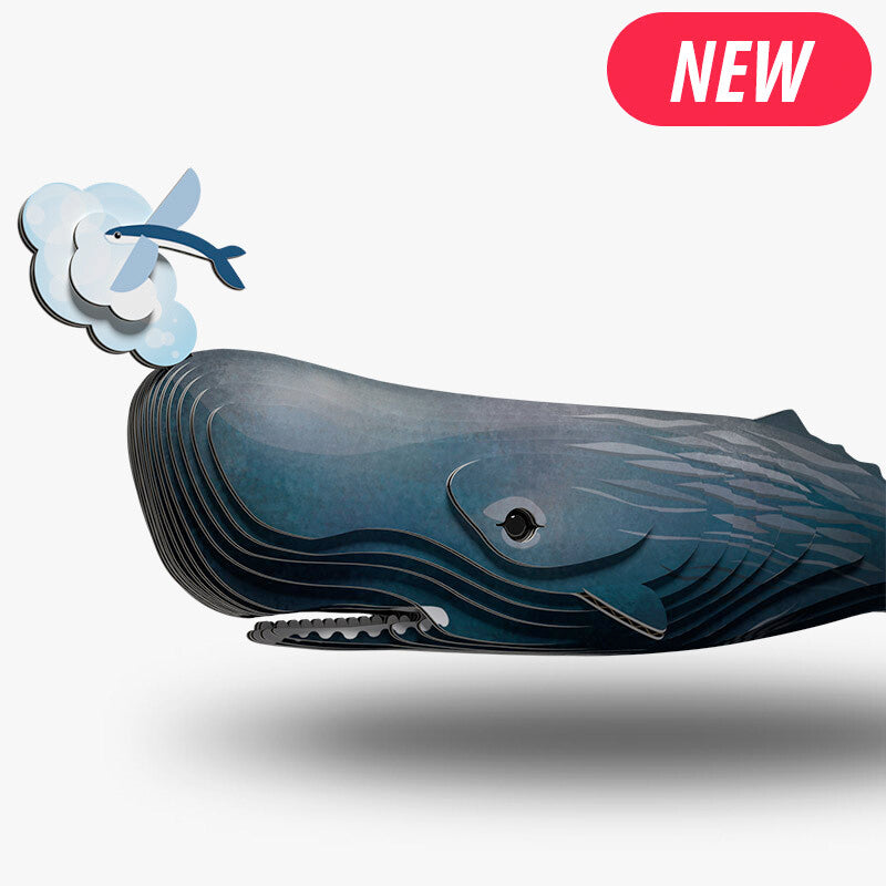 Sperm Whale Eugy