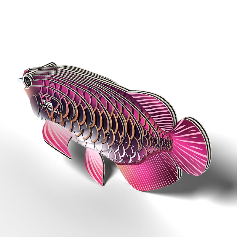 3D puzzle: Asian Arowana, EUGY