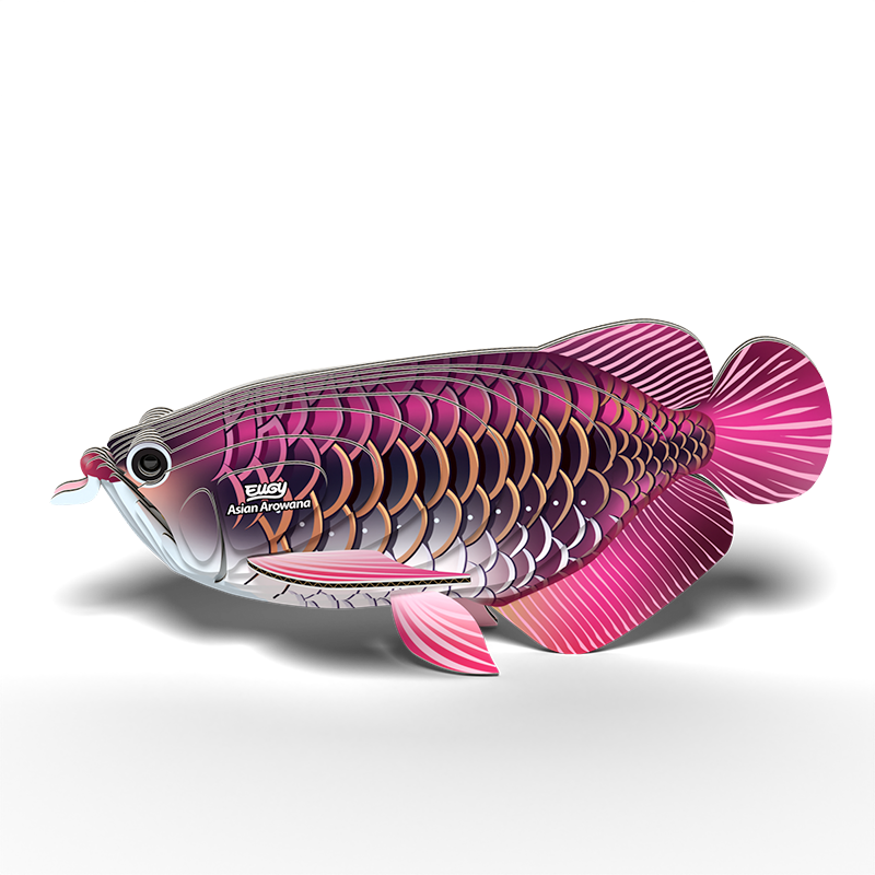 3D puzzle: Asian Arowana, EUGY