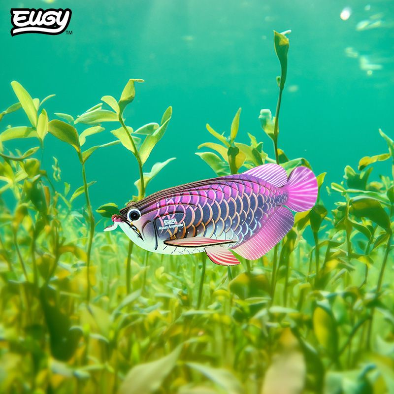 3D puzzle: Asian Arowana, EUGY